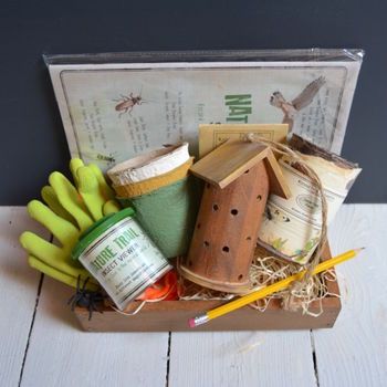 Children's Ladybird And Wildlife Gift Set