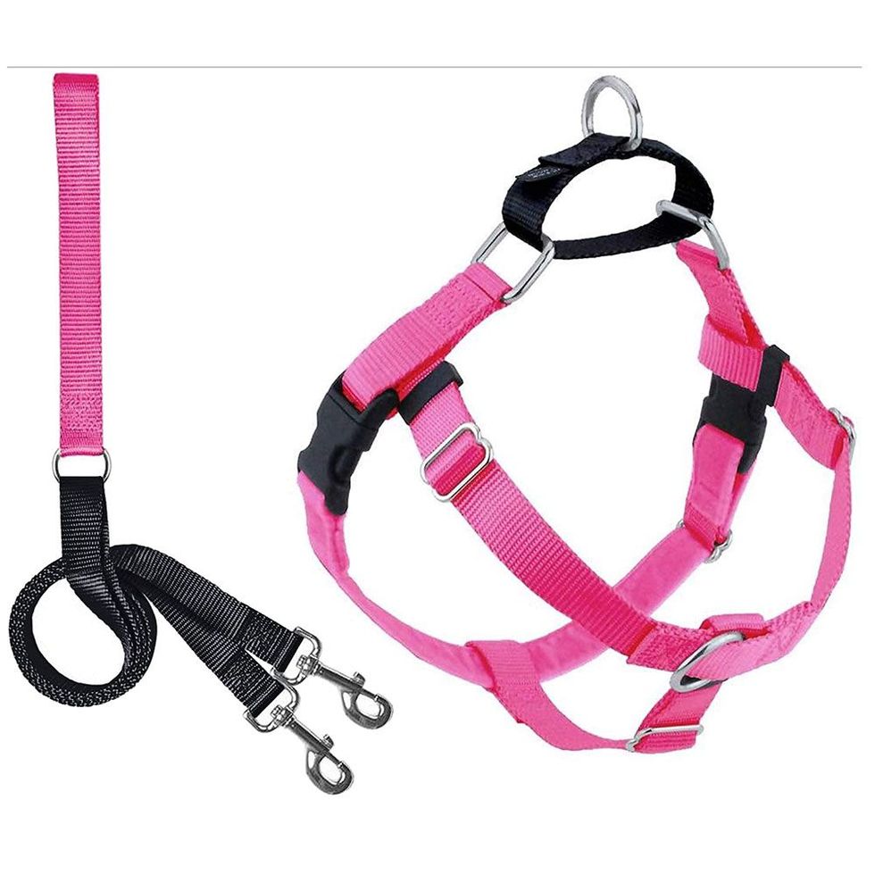 2 Hounds Design Freedom No-Pull Dog Harness and Leash