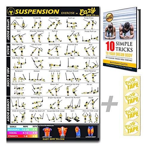 Eazy How To Suspension Cables Exercise Workout TRX Poster BIG