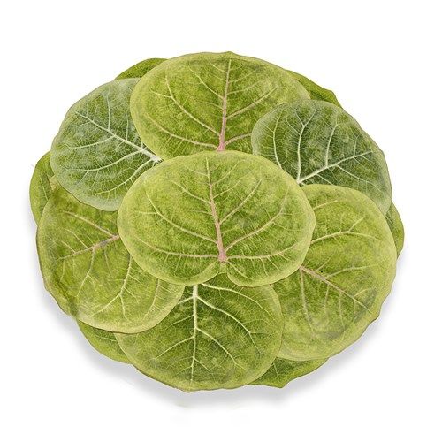 For Her Breakfast Nook: Seagrape Leaves Placemat