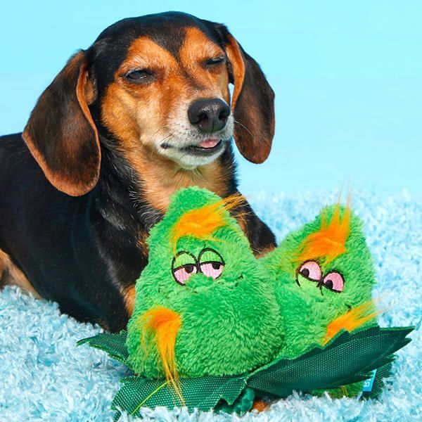 barkbox individual toys