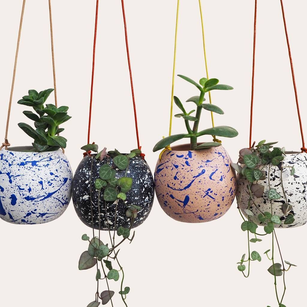 17 Best Hanging Plant Pots And Wall Planters For Indoor Spaces