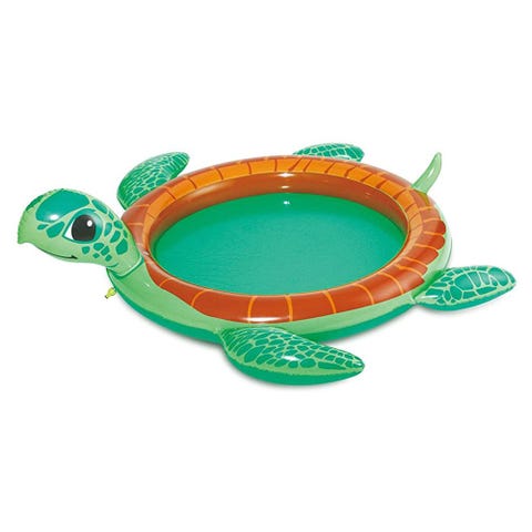 turtle pool argos