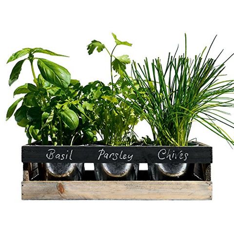 Herb Garden How To Grow Your Own Herbs, Kitchen Herb Garden Windowsill Planter With Seeds