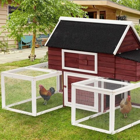 Modular Wooden Backyard Chicken Coop