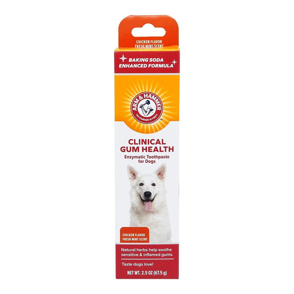 Enzymatic Toothpaste for Dogs