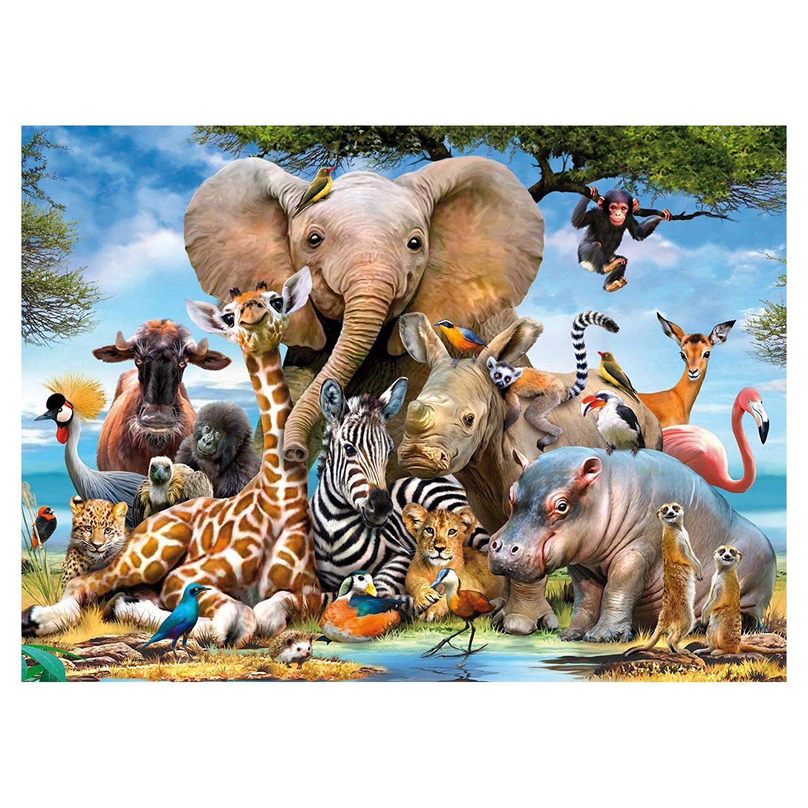 500 1000 300 Pieces Jigsaw Puzzles New For Adults Kids Learning Education