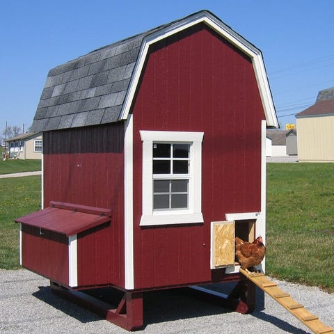 23 Best Chicken Coop Kits for Sale - Cool Backyard Chicken 