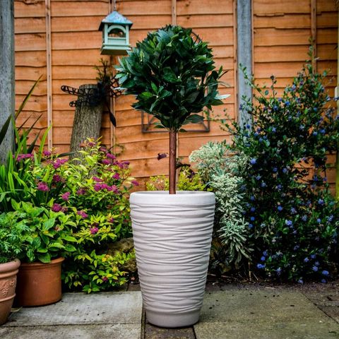 Best Outdoor Plant Pots For Garden, Outdoor Garden Planters Large