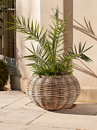 Round Rattan Ball Planter