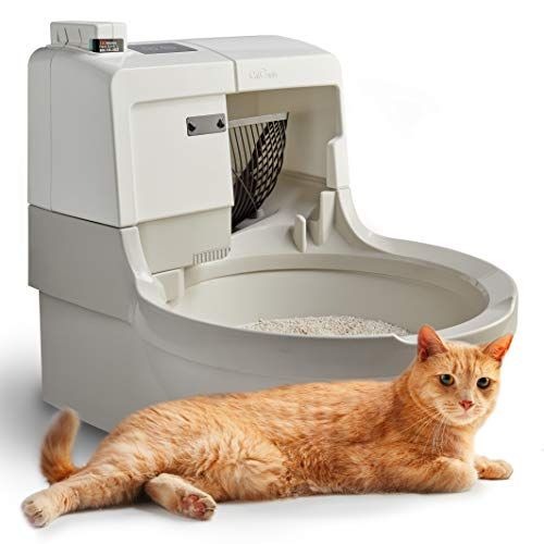 A.I. Self-Washing Cat Box