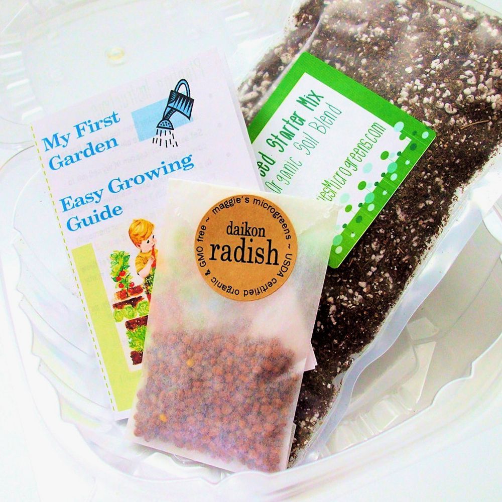 Children's "My First Garden" Microgreens Grow Box Kit