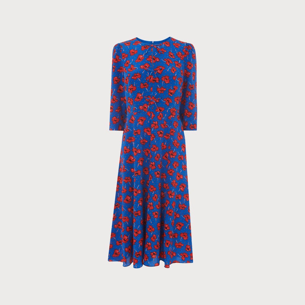 Alicia Poppy Print Silk Tea Dress