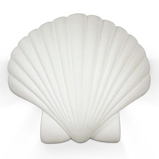 Shell Sconce