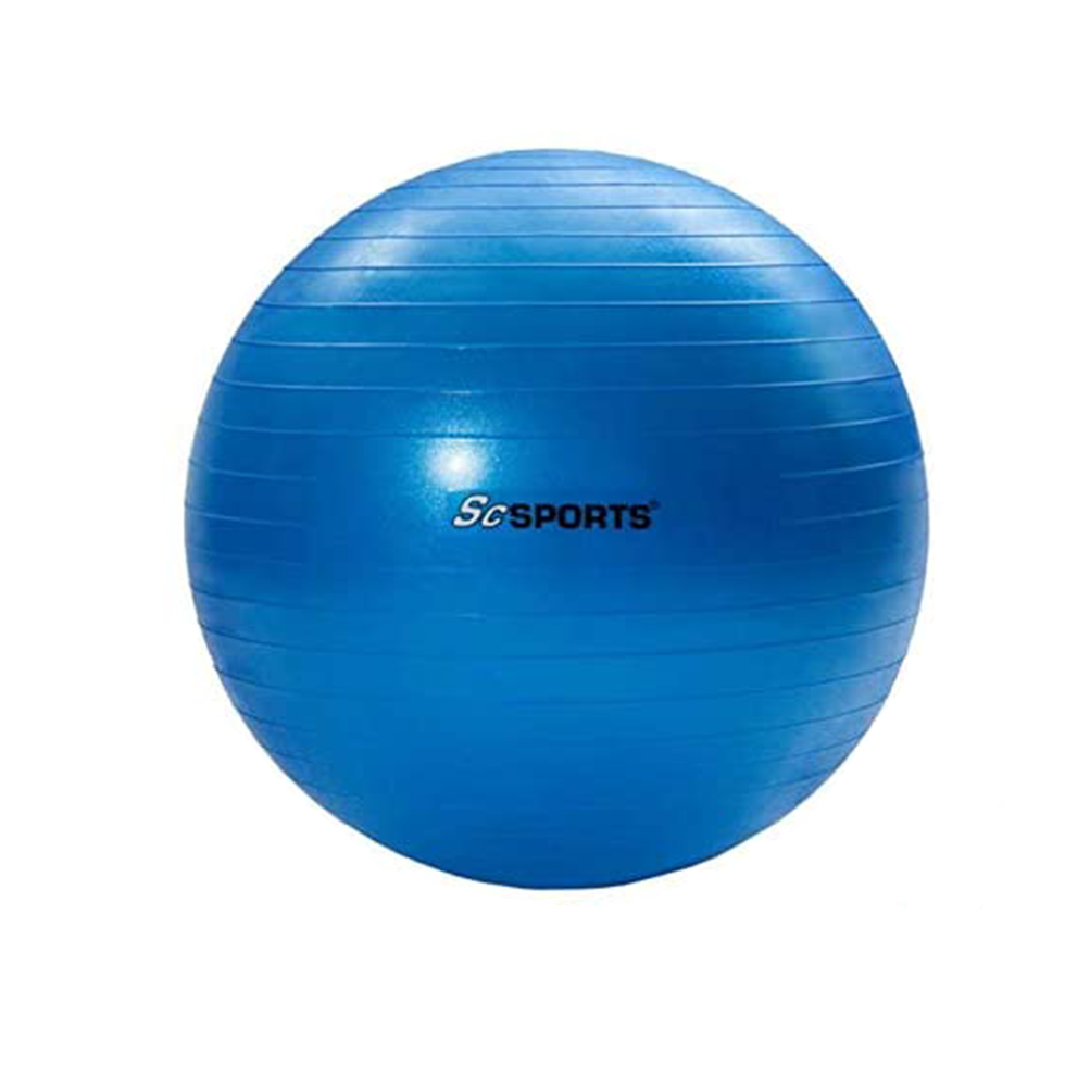 ScSPORTS Gym Ball/Exercise Ball 65cm (Blue) With Dual Action Hand Pump