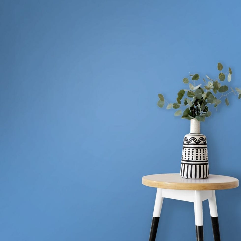 Blue Star Washable Matt Emulsion Paint