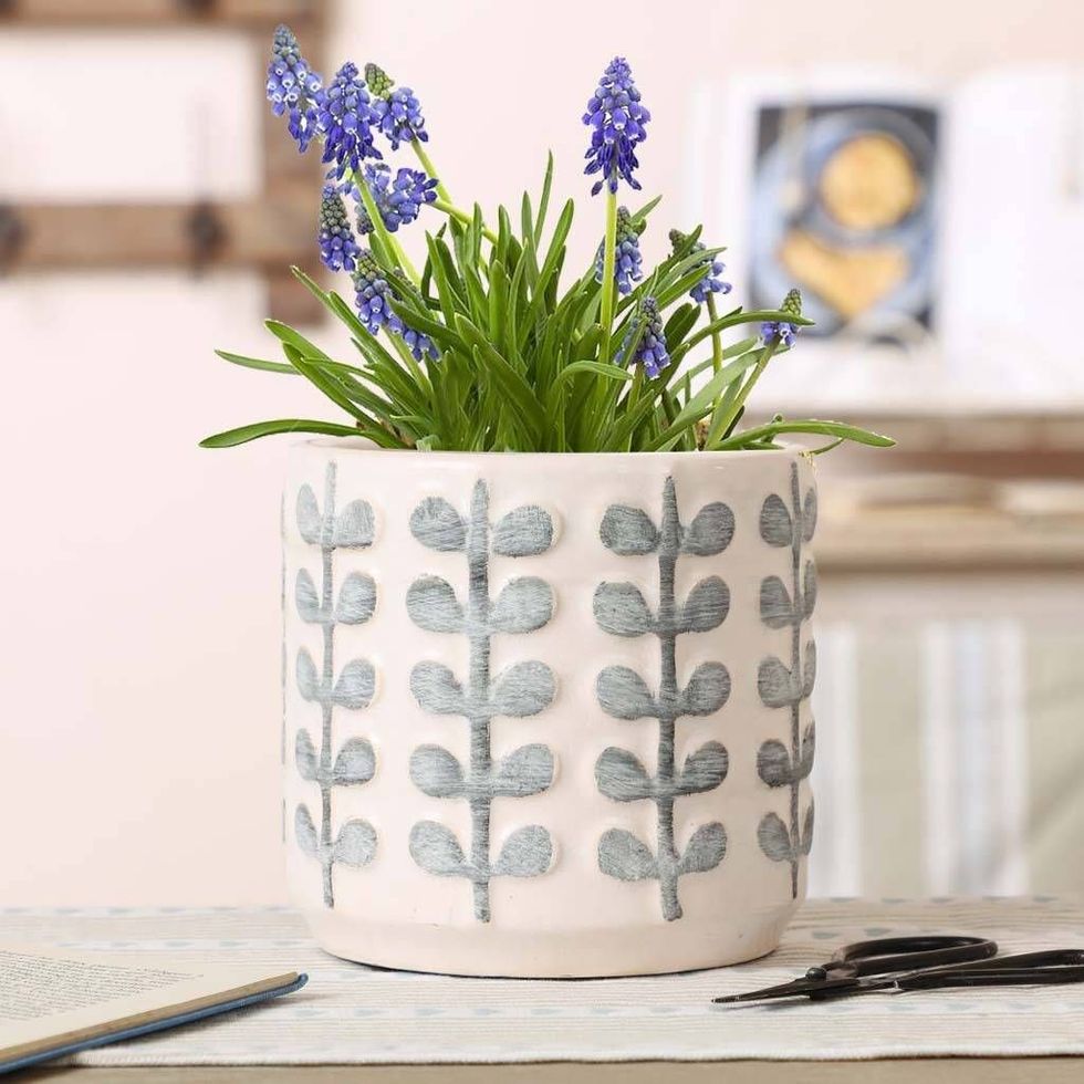 Indoor plant pot with leaf print 