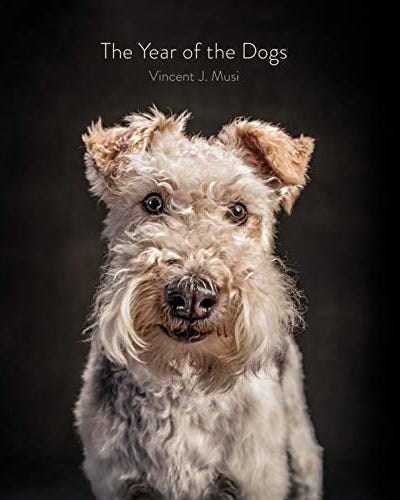 20 Best Coffee Table Books To In 2021 - Resident Dog Coffee Table Book 20 Best Coffee Table Books To In 2021 - Resident Dog Coffee Table Book