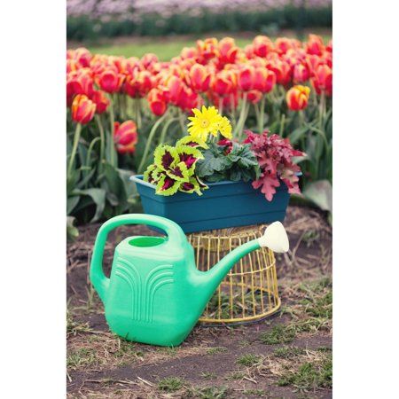 2-Gallon Watering Can
