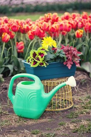 2-Gallon Watering Can