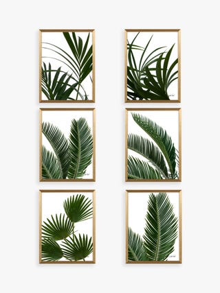 Tropical Leaves Framed Prints & Mounts, Set of 6