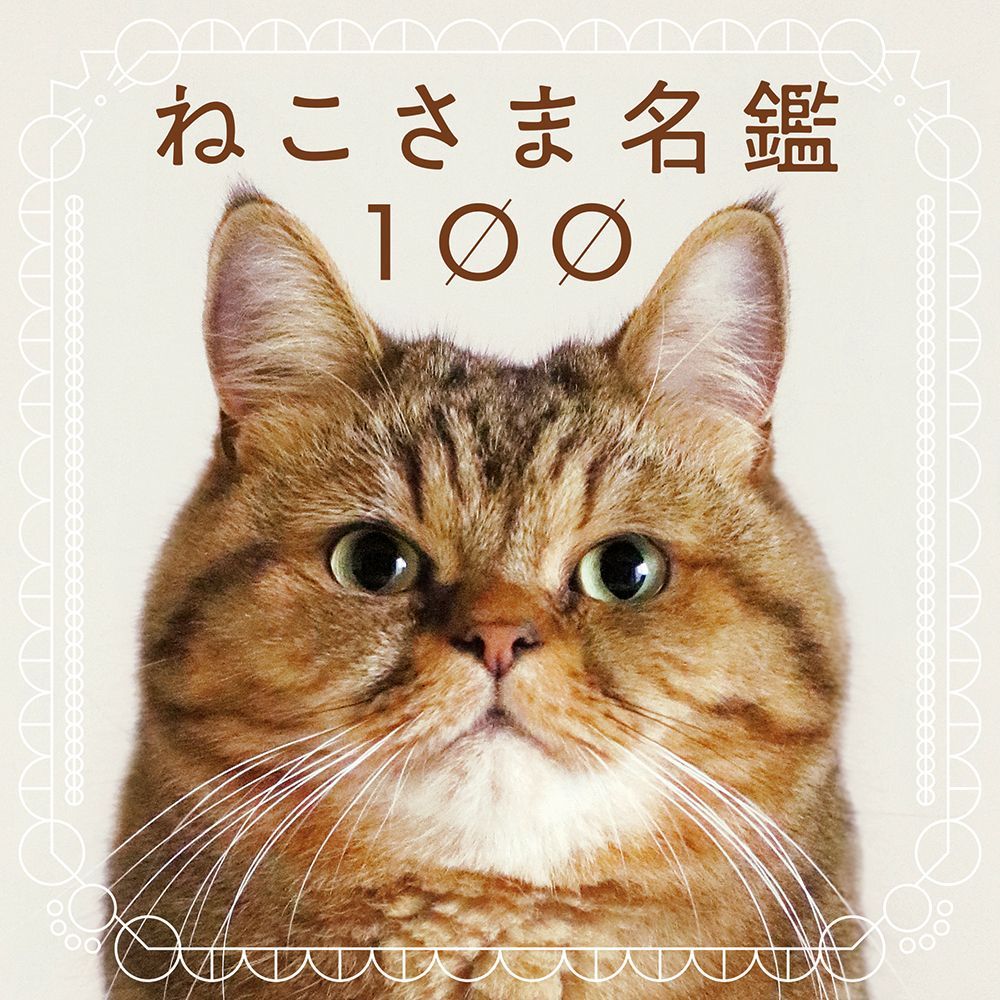 史上最完整「100隻貓咪圖鑑」必須收藏！這本書紀錄了全日本網紅貓的花色和肉球！