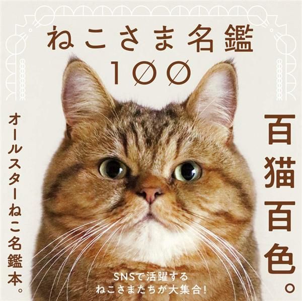 《ねこさま名鑑100》