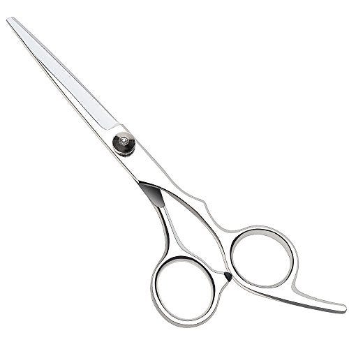 Professional Hairdressing Scissors