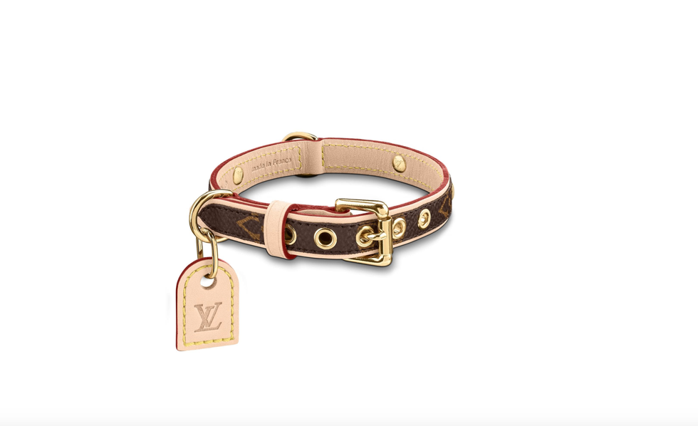 Pet Plus-One