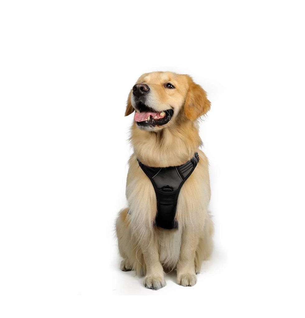 Rabbitgoo No-Pull Dog Harness 