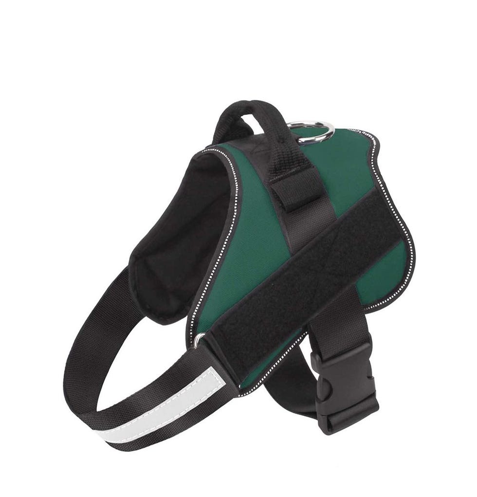 Bolux Dog Harness