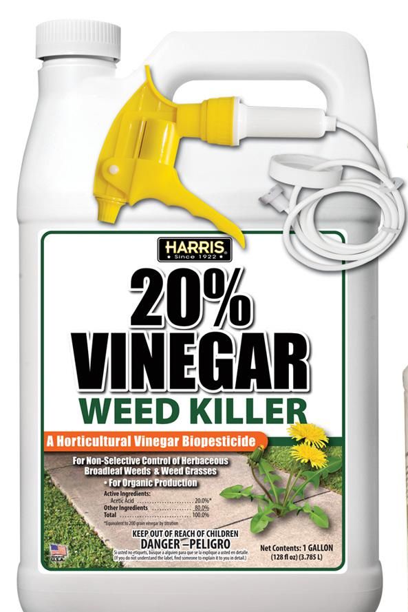 20% Horticultural Vinegar 