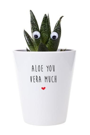 Aloe You Vera Much Planter