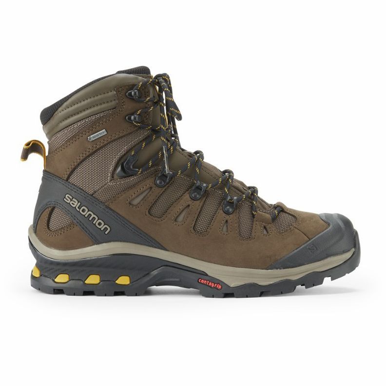 Quest 4D 3 GTX Hiking Boots