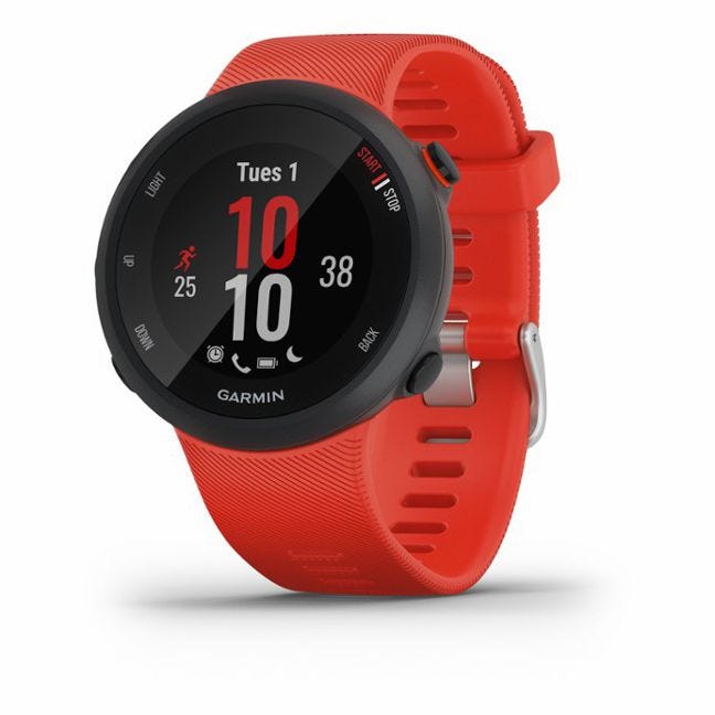 Garmin Forerunner 45