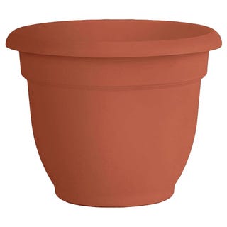 Terra Cotta Pot