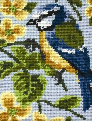 Blue Tit Tapestry Kit