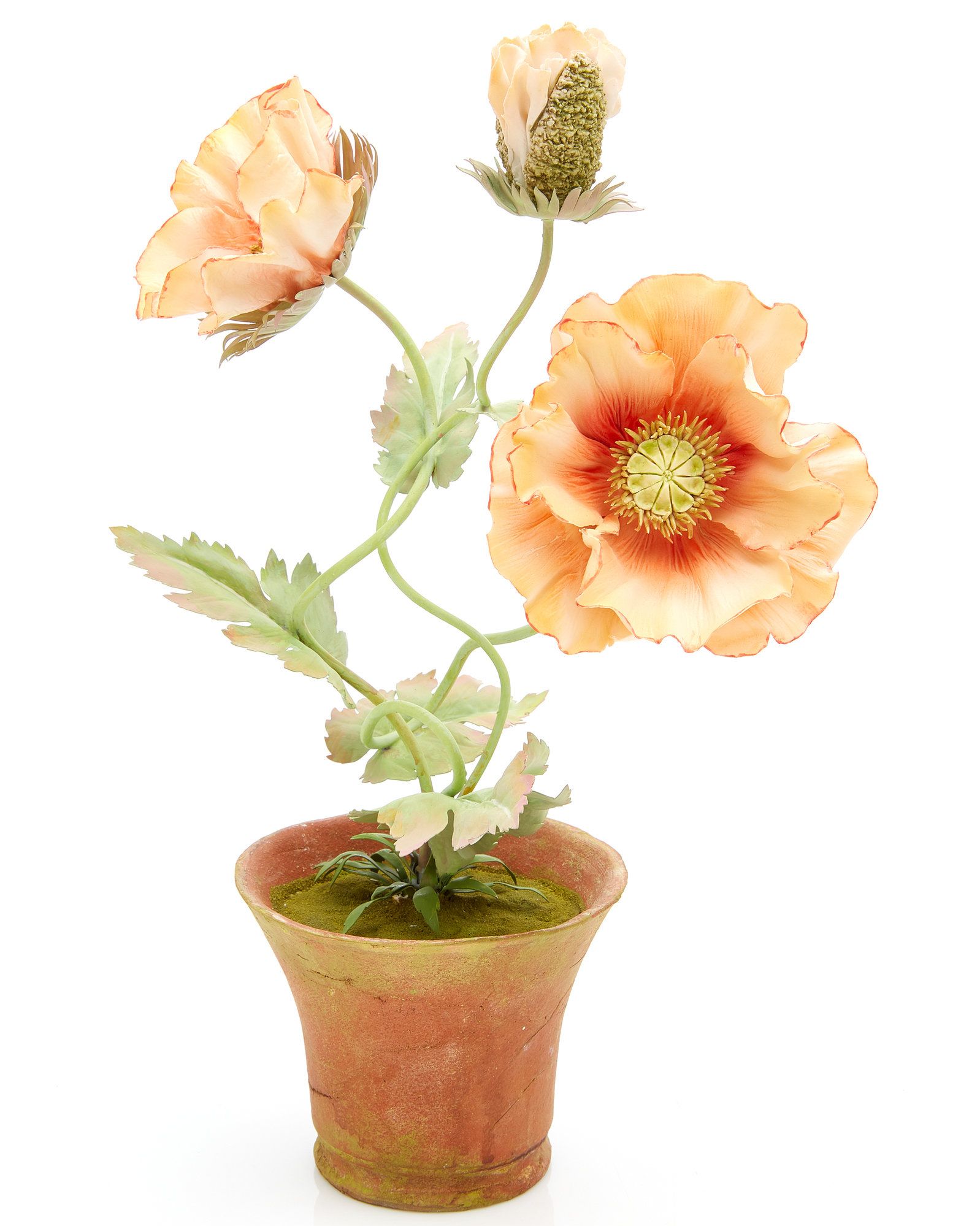 https://hips.hearstapps.com/vader-prod.s3.amazonaws.com/1590512377-large_vladimir-kanevsky-orange-poppy-1-flower-1-bud.jpg?crop=1.00xw:0.781xh;0,0.175xh