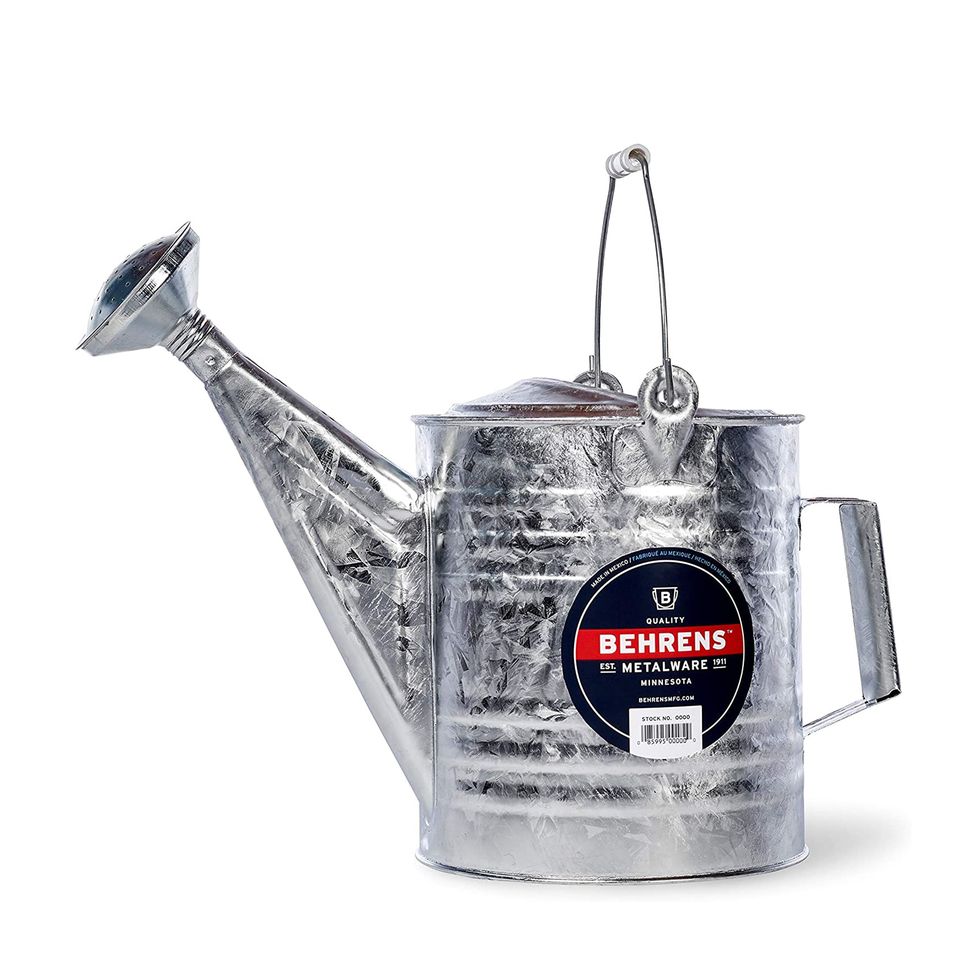 2-Gallon Steel Watering Can