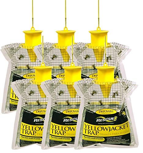 Yellow Jacket Traps