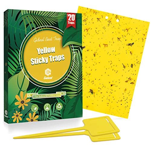 Gideal Dual-Sided Yellow Sticky Traps for Flying Plant Insects