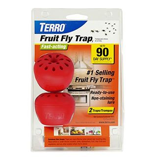 TERRO Gnat and Fruit Fly Trap