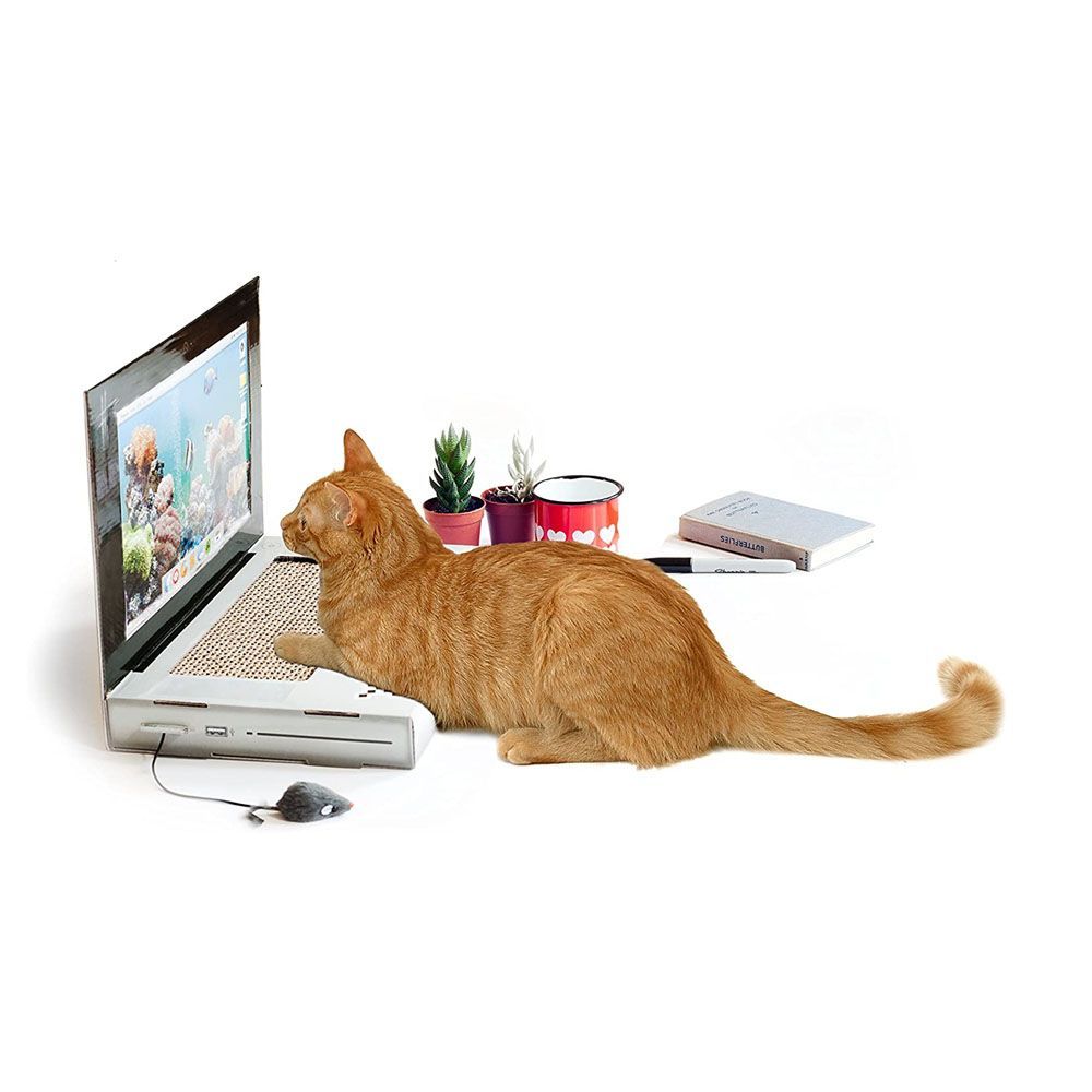top cat accessories