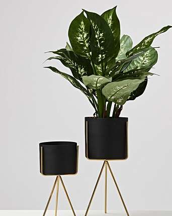 Pedestal plant pots, set of 2