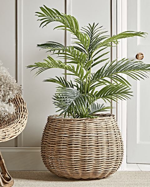photo Extra Large Indoor Plant Pots Uk best plant pots 20 indoor and outdoor