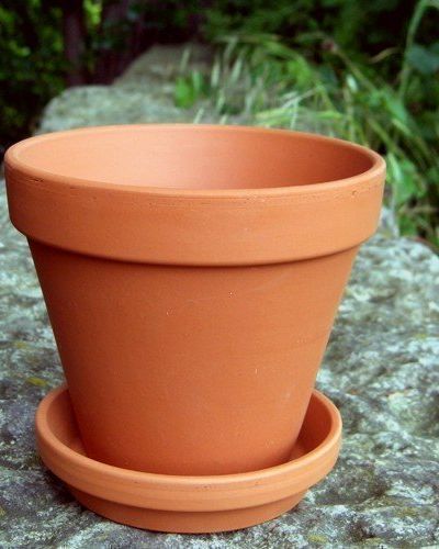13cm terracotta plant pots with saucers, 10 pack