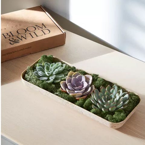 good thinking of you gifts for him