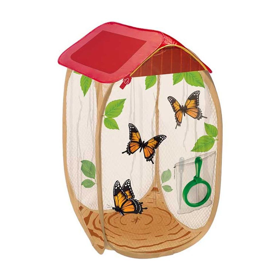 RESTCLOUD Insect and Butterfly Habitat Cage Terrarium - Pop-Up 23.6 Inches Tall