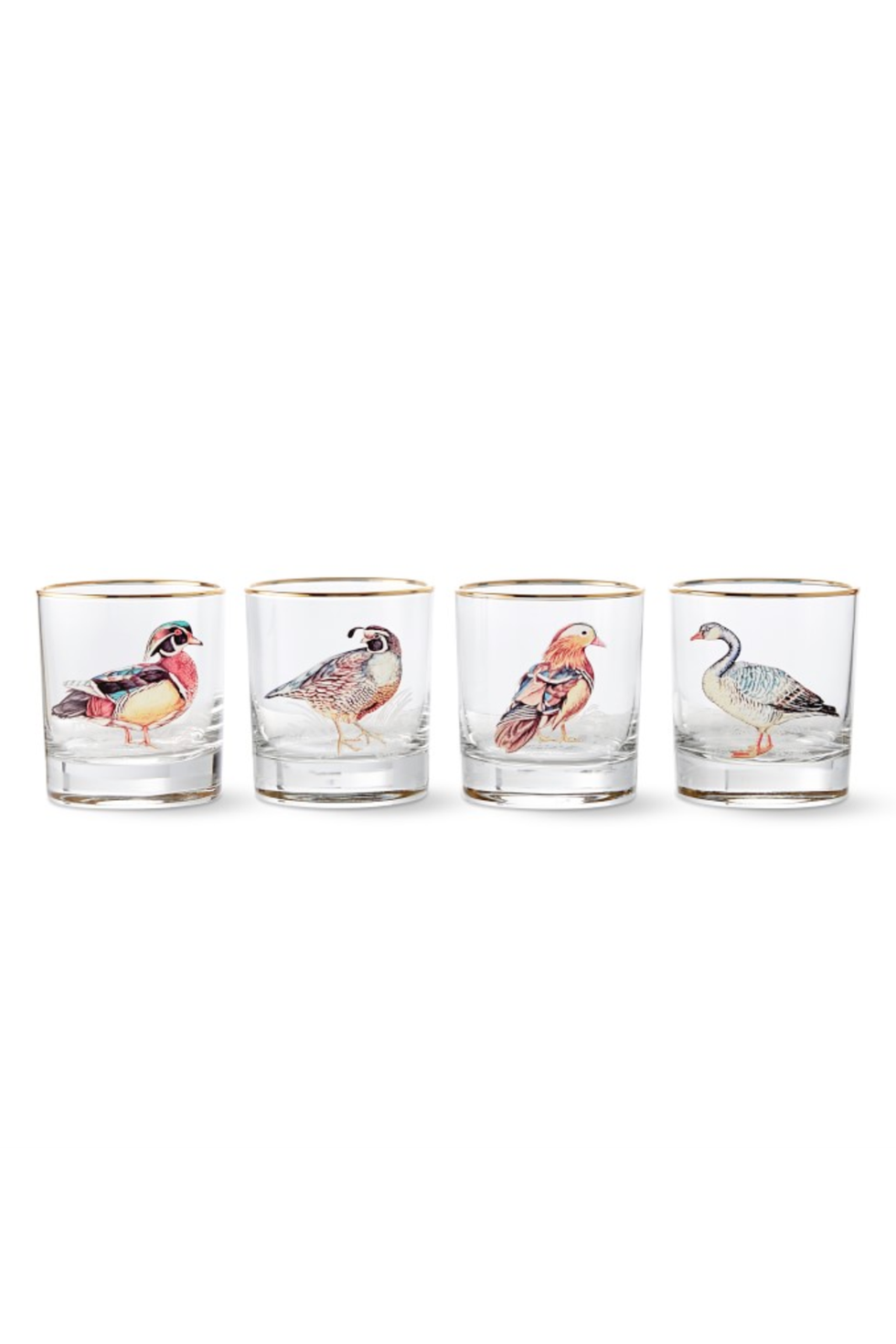 Set of 4 Plymouth Birds Double Old-Fashioned Glasses