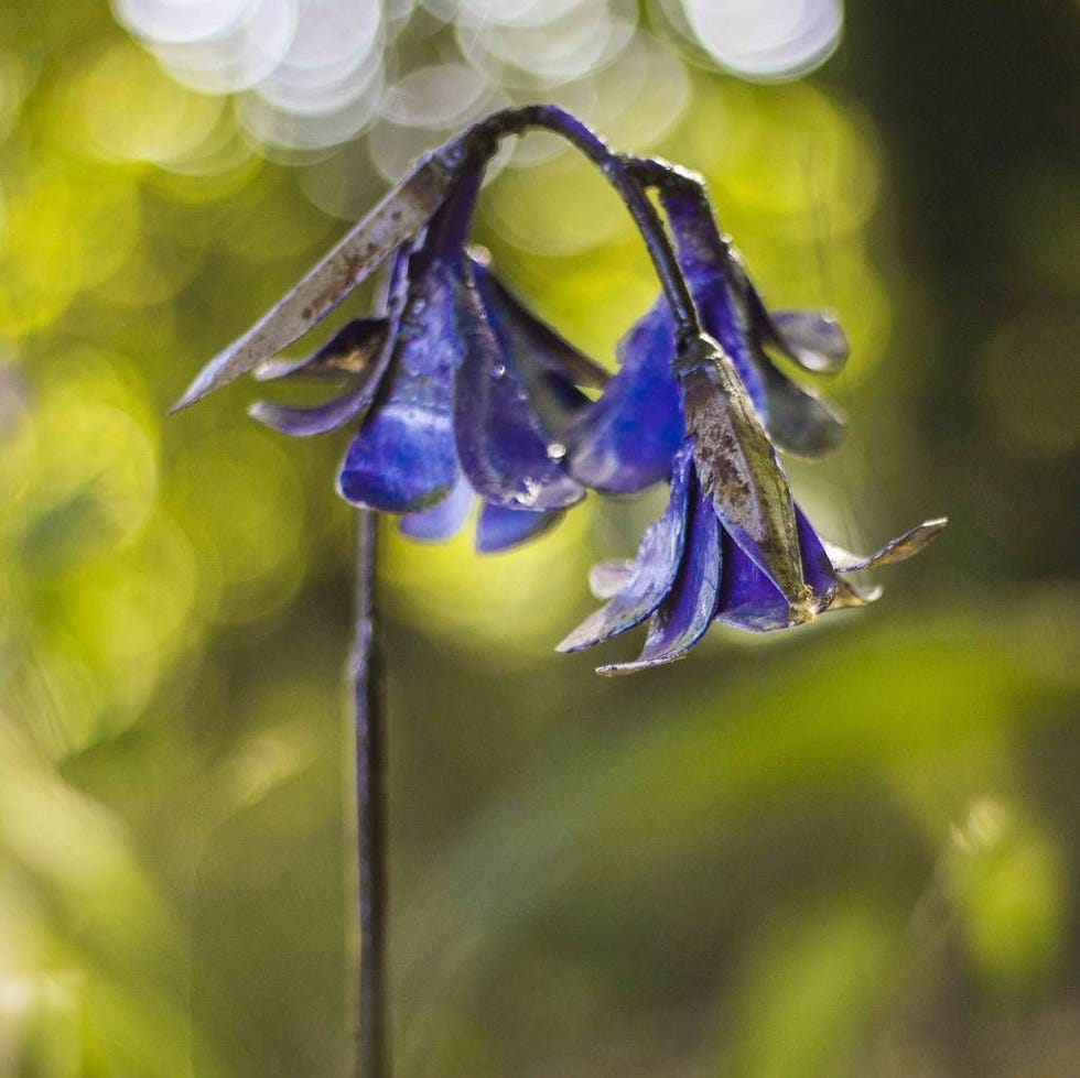Bluebell Handmade Recycled Metal Garden Sculpture